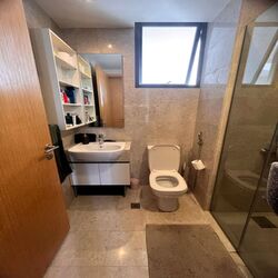 La Fiesta (D19), Condominium #411323131